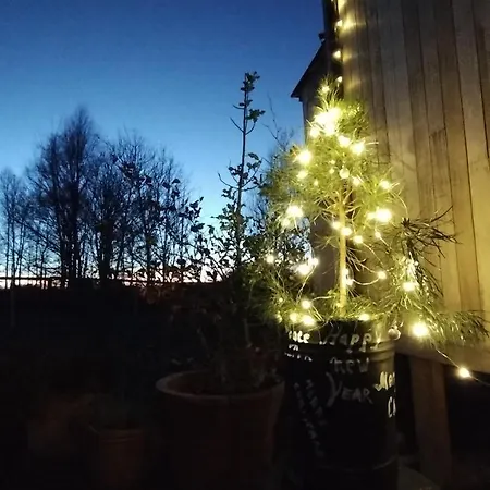 Tiny House, Sauna Hot Tub Namur Ardennes Dağ evi