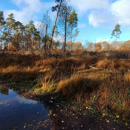 木屋 Tiny House, Sauna Hot Tub Namur Ardennes *