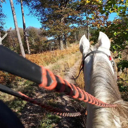 Tiny House, Sauna Hot Tub Namur Ardennes 木屋 *