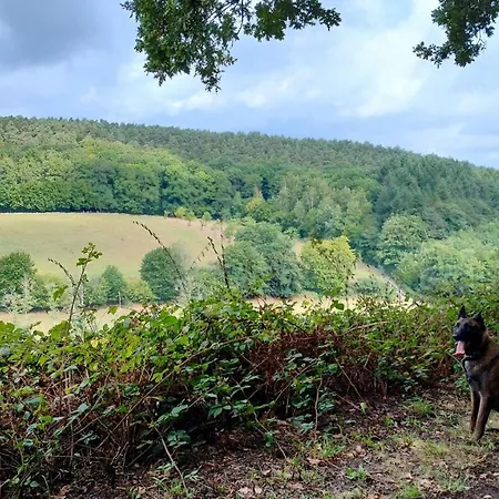 Tiny House, Sauna Hot Tub Namur Ardennes Gesves