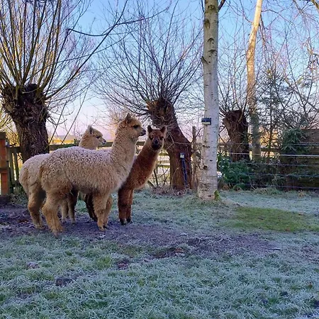 Dağ evi Tiny House, Sauna Hot Tub Namur Ardennes