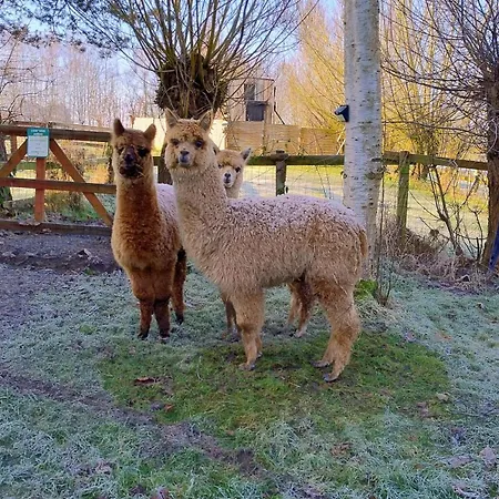 Tiny House, Sauna Hot Tub Namur Ardennes Gesves