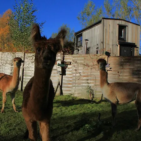 木屋 Tiny House, Sauna Hot Tub Namur Ardennes Gesves